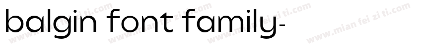 balgin font family字体转换